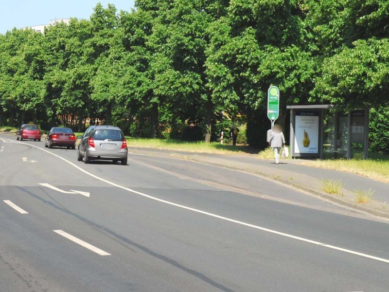 Kugelfangtrift/Hagebuttenweg  31 innen