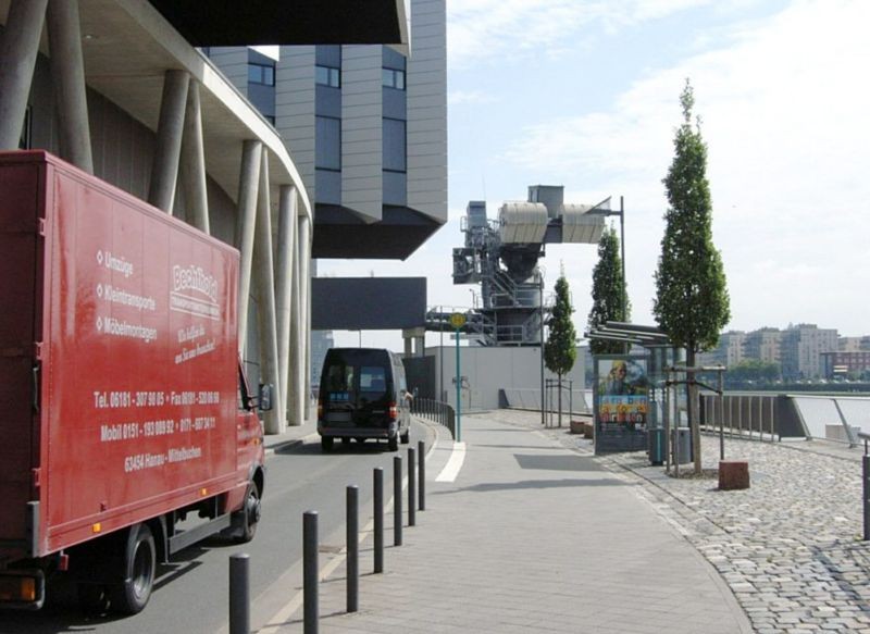 Rotfederring/Main-Neckar-Brücke/innen