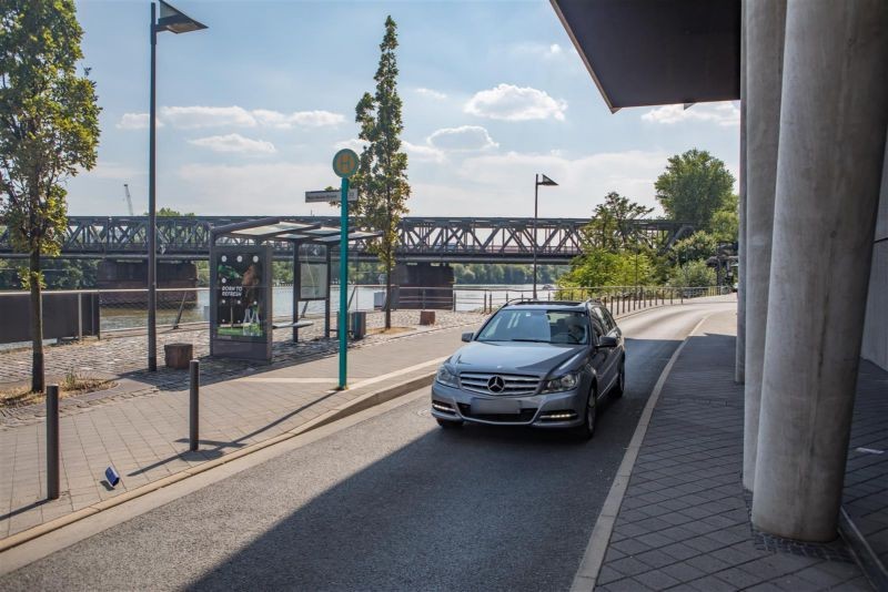 Rotfederring/Main-Neckar-Brücke/außen