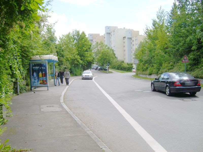 Guttenbrunnstr./westl. Tunnelausgang/ We.li.