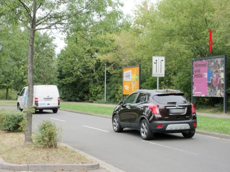 Olvenstedter Graseweg  37/Haupteinf. li.