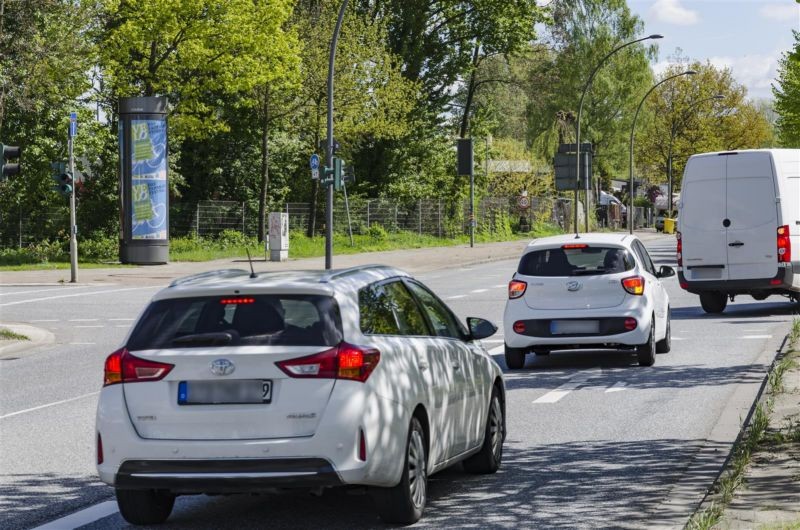 Niedergeorgswerder Deich/Georgswerder Bogen