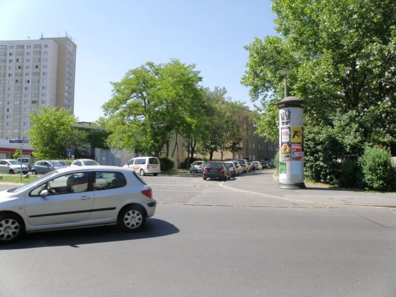 Calvinstr./Rosenbergstr.