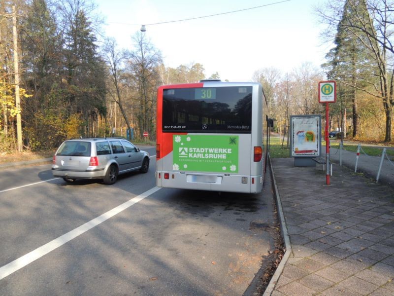 T.-H.-Allee, Bus-HST Elbinger Str.,saw.,SIA,We.re.