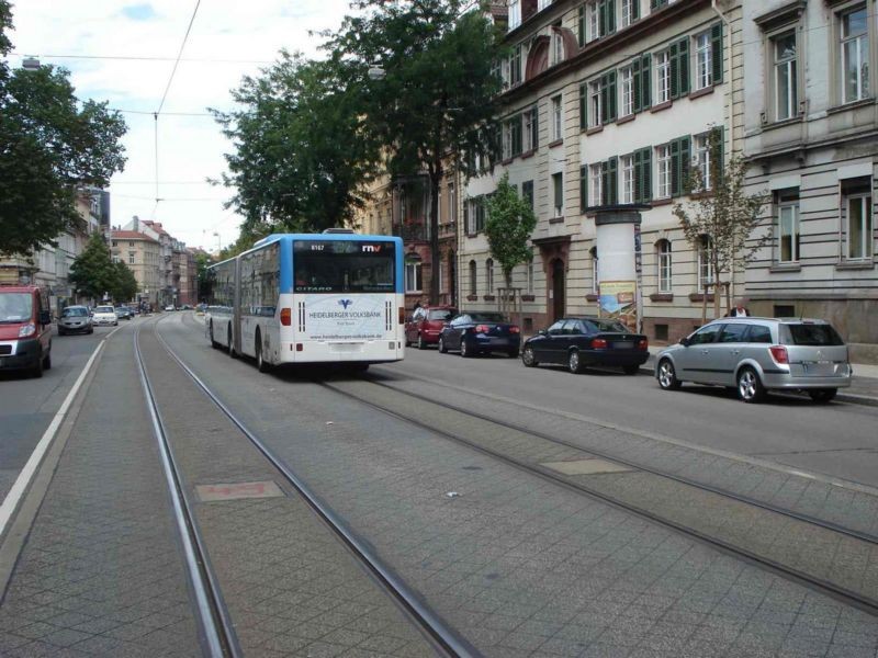 Bergheimer Str.  50