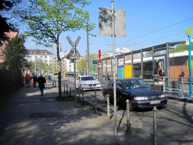 Bernhard-Grzimek-Allee/Alfred-Brehm-Platz/V re./au