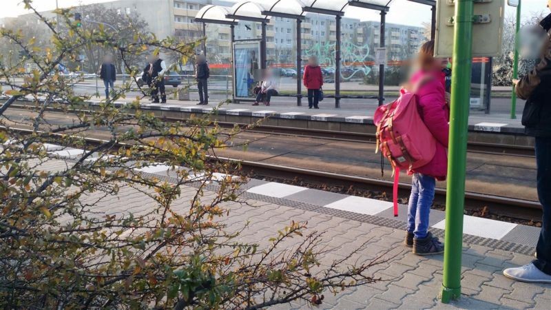 Rosa-Luxemburg-Allee/Tschirchdamm innen li.