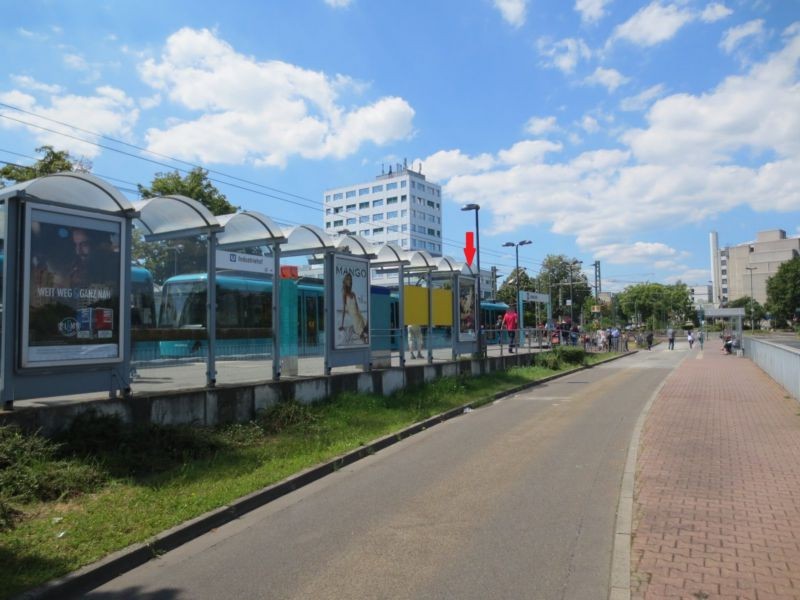 F.-W.-von-Steuben-Str./Am Hohen Weg/außen re.