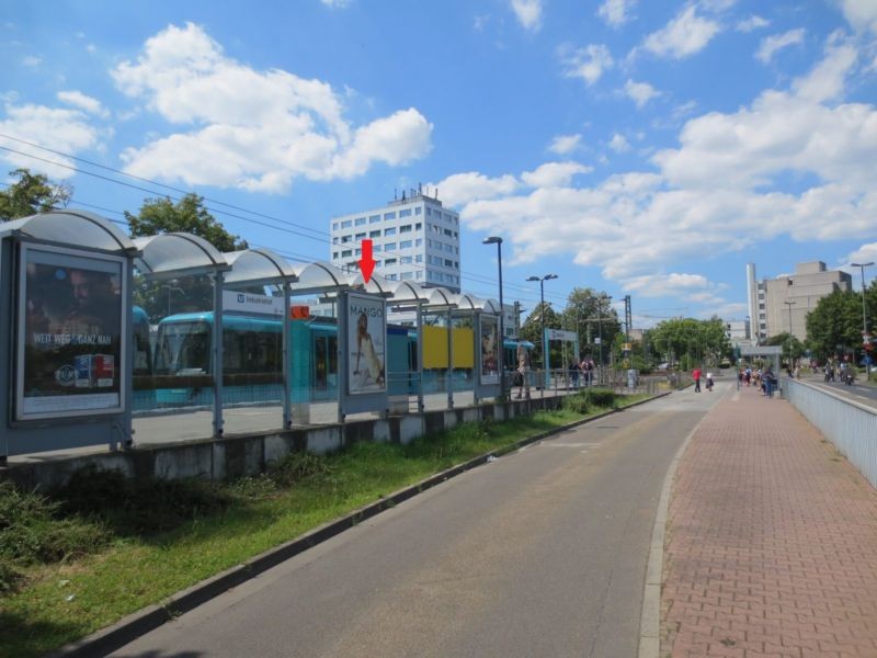 F.-W.-von-Steuben-Str./Am Hohen Weg/außen mi.