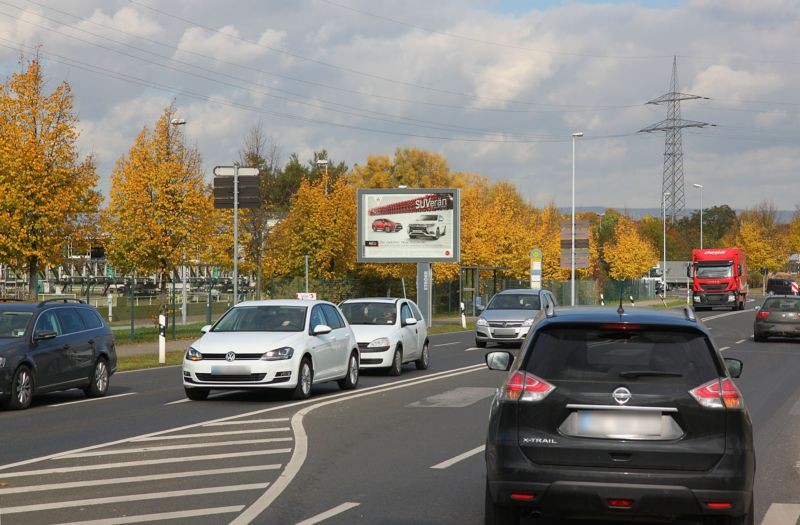 In der Dalheimer Wiese/We.li.