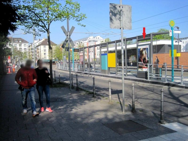 Bernhard-Grzimek-Allee/Alfred-Brehm-Platz/V li./au