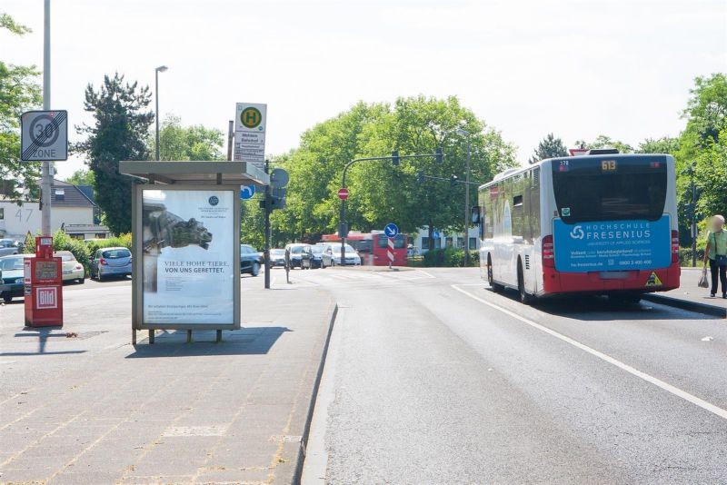 Im Meisengarten HST Mehlem Bf sew. außen