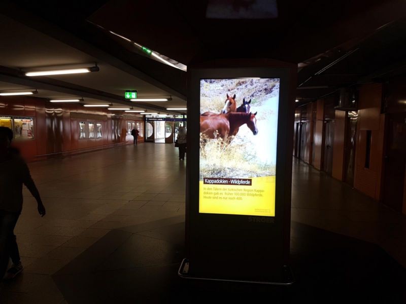 S-Bf Süd, VTE, vor 3. Säule Si. Zug.