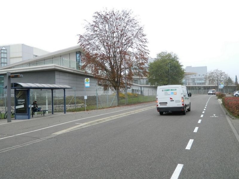 Birkendorfer Str. geg. Meisenweg/We.li.