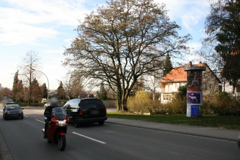 Erbacher Tal/Mausnestweg