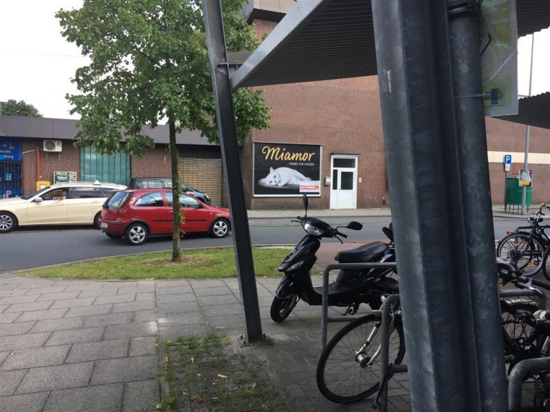 Bf Burg, Vorplatz, geg. Parkplatz, 1. Sto.