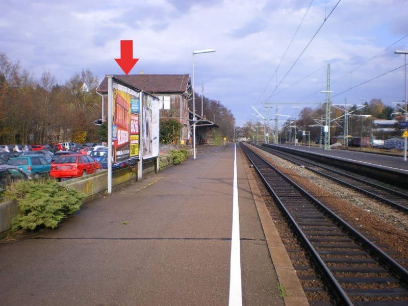 Bf, Bstg., Si. Gl., li.