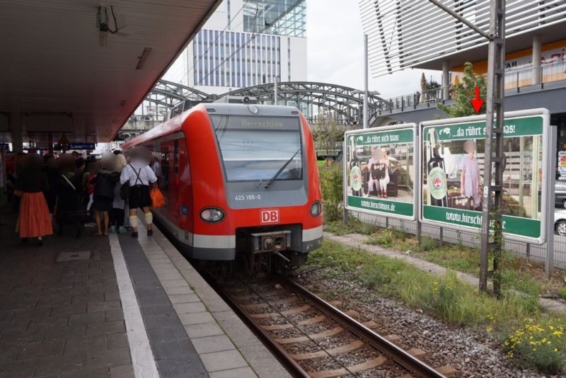 S-Bf Hackerbrücke, HGL 2, 10. Sto.