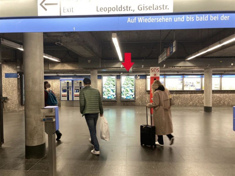 U-Bf Giselastr. Süd, ggü. Treppenabgang, re. Sto.