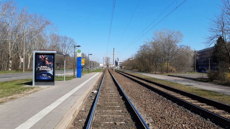 Lützner Str. vor Nelkenweg/We.li.