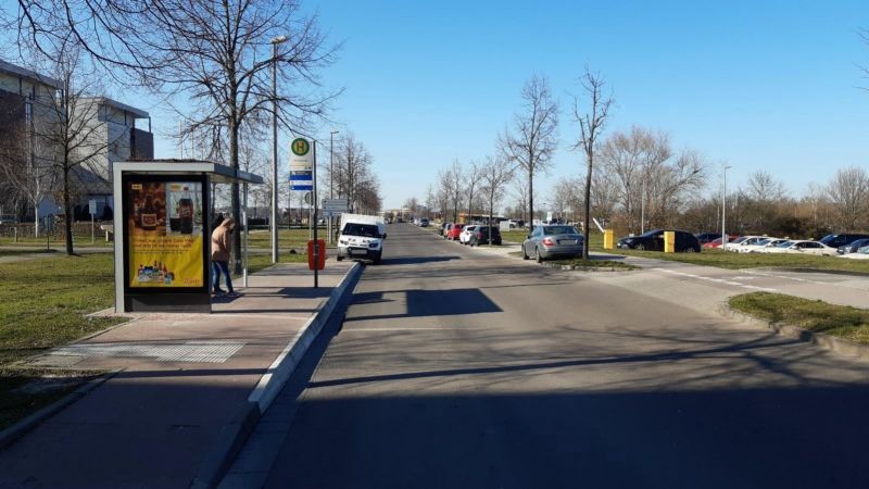 Strümpellstr./Herzklinikum/We.li.