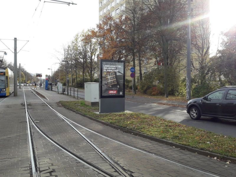 Zwickauer Str./Arno-Nitzsche-Str./Mittelstreifen/W