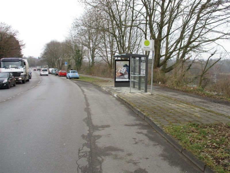 Hohenstaufenallee  88/We.re.