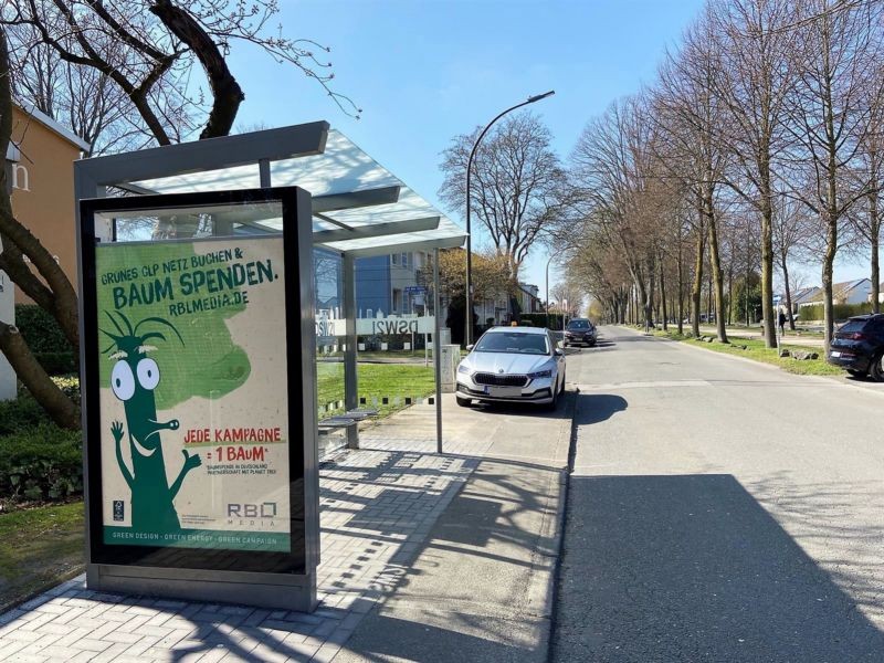 Auf dem Hohwart  17/We.li.