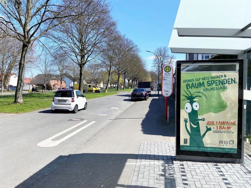 Auf dem Hohwart  17/We.re.