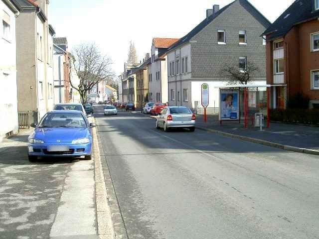 Auf der Goldbreite  25/We.re.