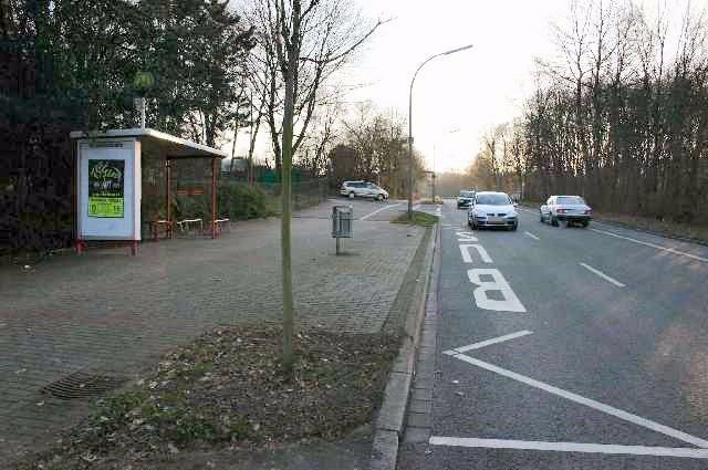 Brandisstr.  50/We.li.