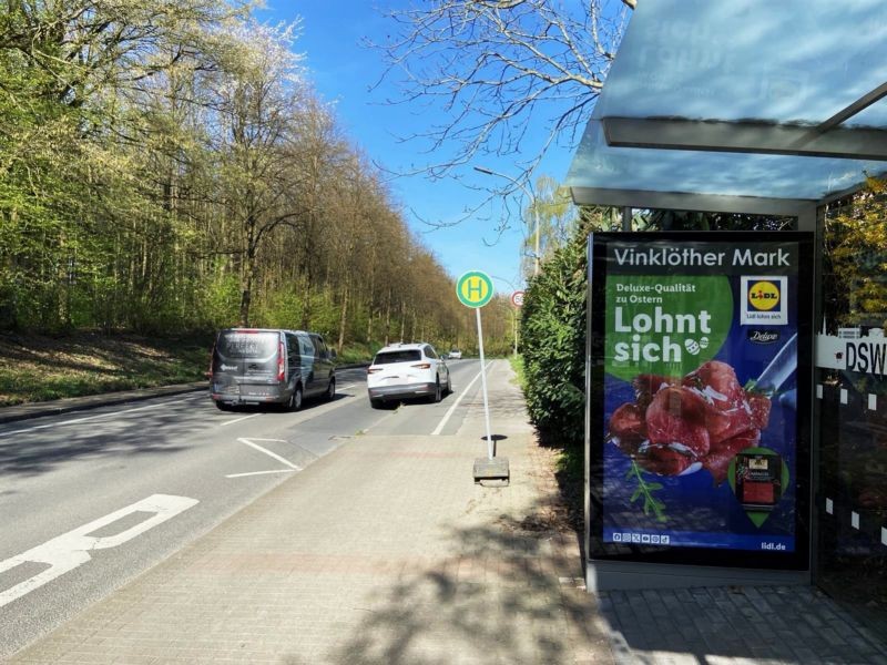 Brandisstr./Vinklöther Mark  51/We.re.