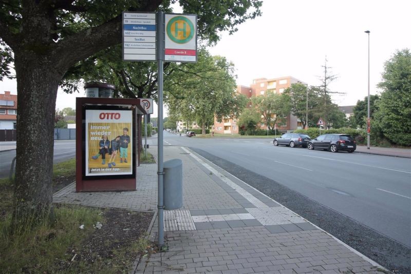 Coerheide/Holtmannsweg