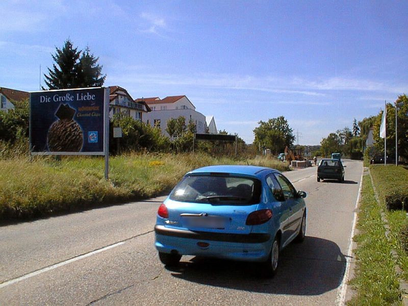 An der Ochsenwiese/bei km 44/2 - quer/We.li.