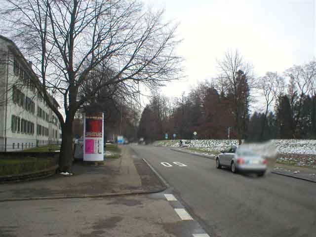 Hauptstraße/Waldhornstraße