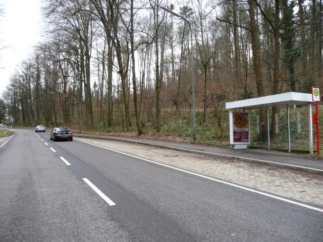 Tiefentalstr.(Bus-HSt),Str.d. Roten Kreuzes,We.re.